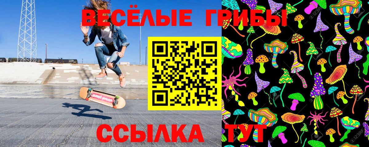 Галлюциногенные грибы мухоморы Чапаевск