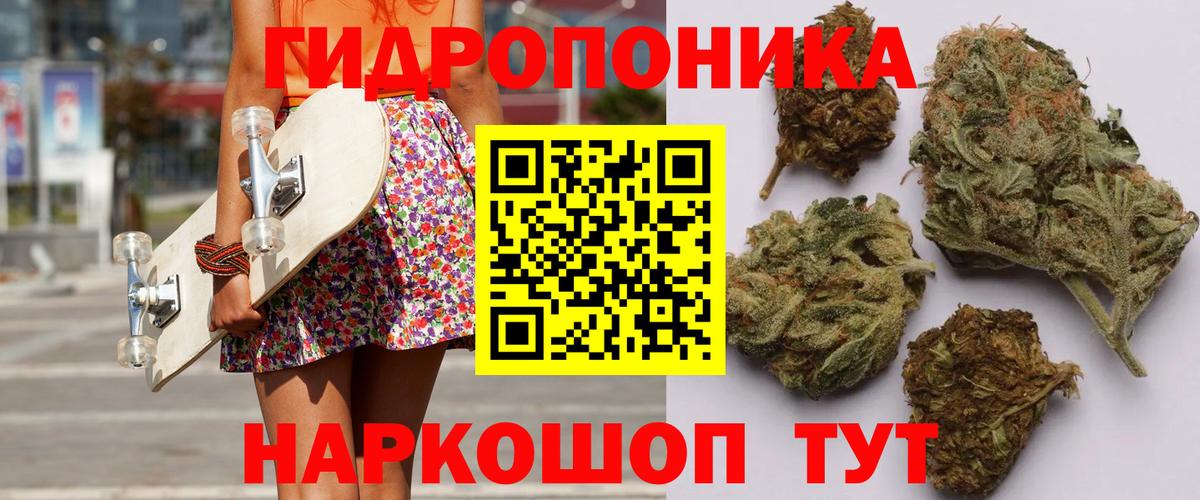 Каннабис марихуана  Вход с VPN  Каннабис планчик  Чапаевск  Бошки марихуана OG Kush  Конопля конопля 